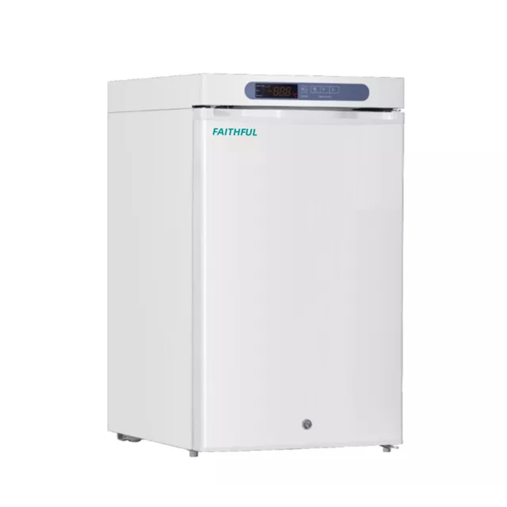 Low Temperature Freezer-FSF-25V100
