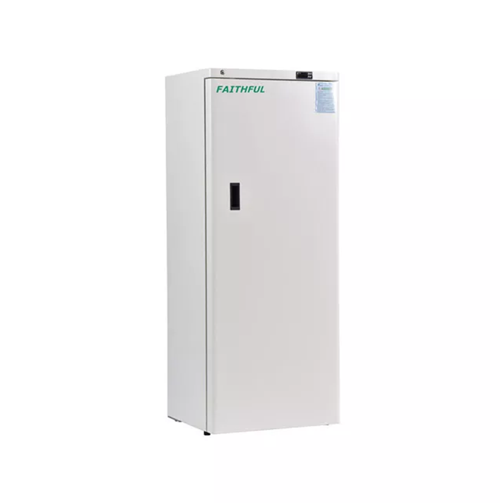 Low Temperature Freezer - FSF-25V278W